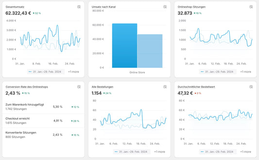 Fertiger Dropshipping-Shop